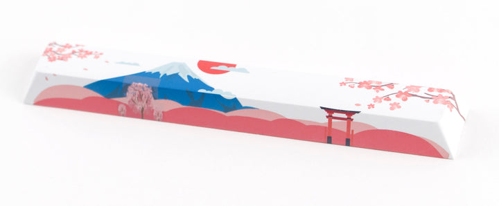 13871_643f61318370e_PBT-Dye-Sublimated-Spacebar-80