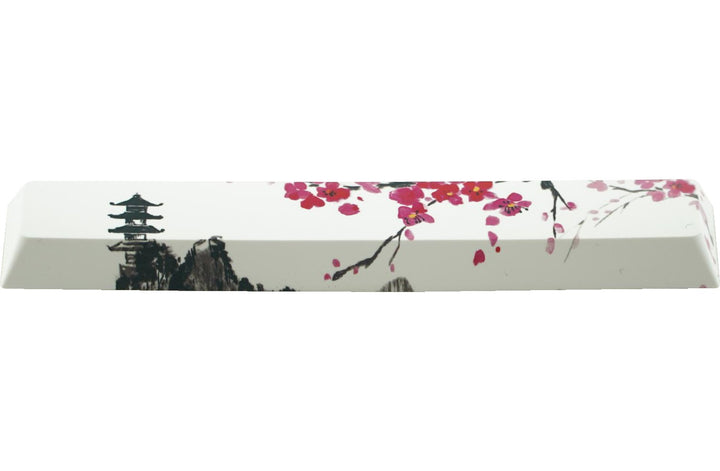 2892-5LMGN-PBT-Dye-Sublimated-Spacebar-32