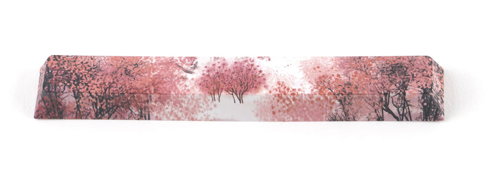 3100_63adfb04666c1_PBT-Dye-sublimated-Spacebar-51